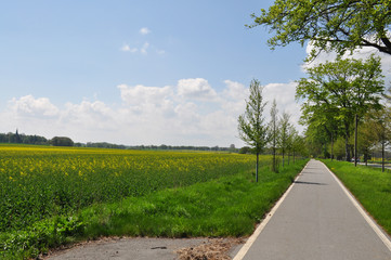 Radweg von  Posewald Richtung Vilmnitz und Putbus, Insel Rügen