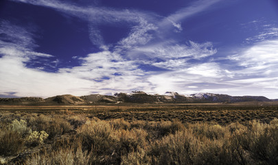 Alpine Field