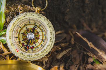 Antique brass compass over wooden background (vintage)