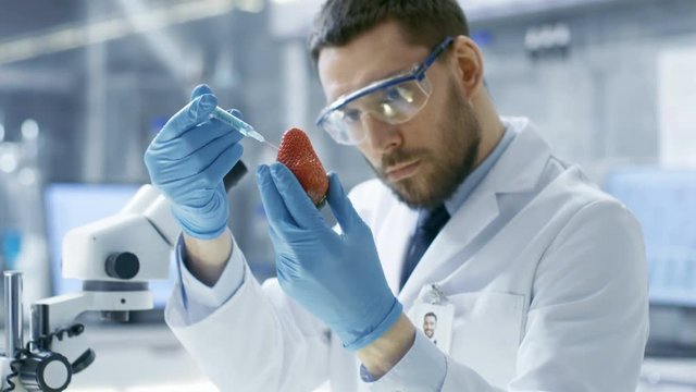 In a Modern Laboratory Food Scientist Injects Strawberry with a Syringe. He's Working on a Genetic Modifications of this Product. Shot on RED EPIC-W 8K Helium Cinema Camera.