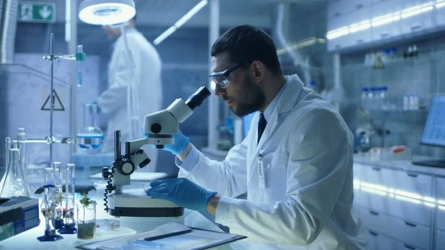 In a Modern Laboratory Assistant Brings Petri Dish to Chief Research Scientist who Starts Examining given Sample Under Microscope. Shot on RED EPIC-W 8K Helium Cinema Camera.