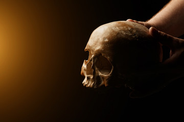 Human skull on a black background. flare effect