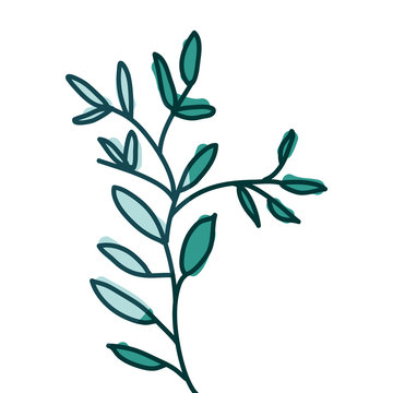 watercolor hand drawn silhouette of branch with aquamarine leaves vector illustration