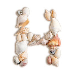 various sea shells capital H on isolated white background