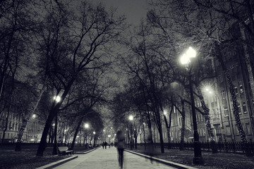 winter night in the park