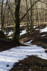Fototapeta na wymiar mountain trail with snow at matese park