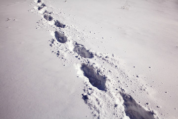 footprints in the snow snowdrift winter