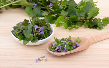 fresh ground ivy / Porcelain bowl and wooden spoon with fresh ground ivy
