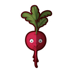 white background with realistic red beet caricature with stem and leaves and half shadow vector illustration