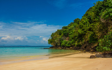 Fototapeta na wymiar Wild tropical beach