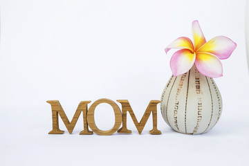 Mother's day concept, mom wooden text and flower in design vase on white background