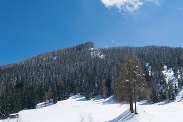 Winterlandschaft mit Bergwald und Wolkenhimmel