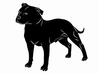 illustration of a dog, vector draw