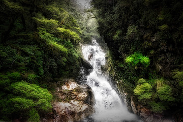 Tumbling Waters in Fiordland National Park