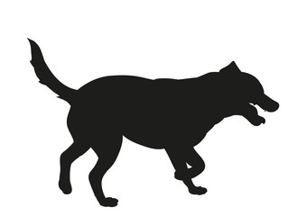  the silhouette of a dog is black