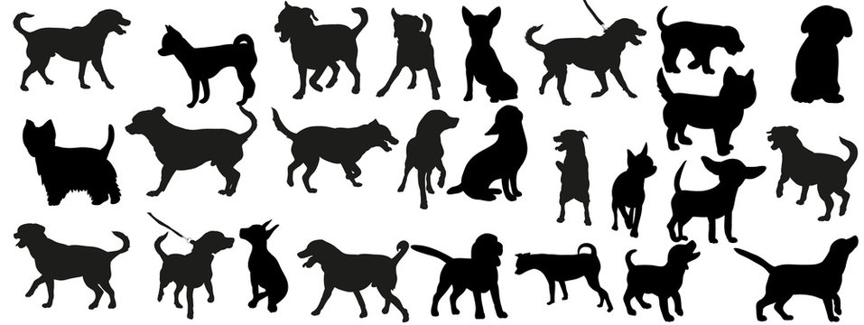  a collection of dog silhouettes