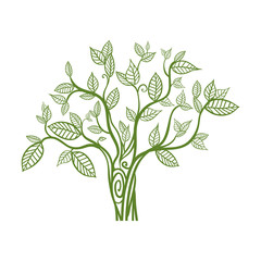 Tree natural ecology icon vector illustration graphic design