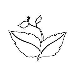 Leaves ecology symbol icon vector illustration graphic design