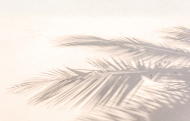 ombre de palmes sur plage de sable doré