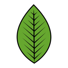 leafs plant ecology icon vector illustration design