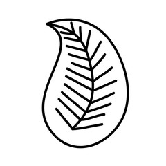 leafs plant ecology icon vector illustration design