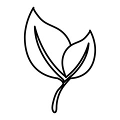 leafs plant ecology icon vector illustration design