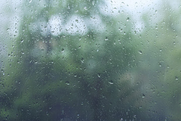 Raindrops on a window glass with trees in the background