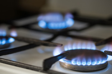 Gas burns in stove