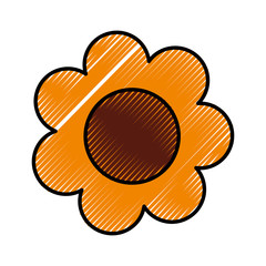 cute sunflower drawing icon vector illustration design
