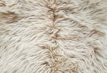 Wool texture for background.
