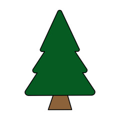 colorful image cartoon pine tree vector illustration
