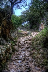 path in teh mountains