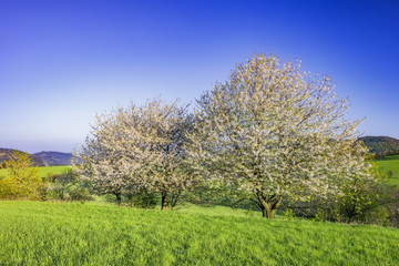 Mountainous country Czech Republic