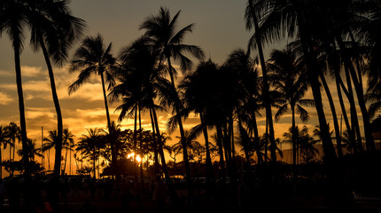 Obraz premium Tropical sunset.
