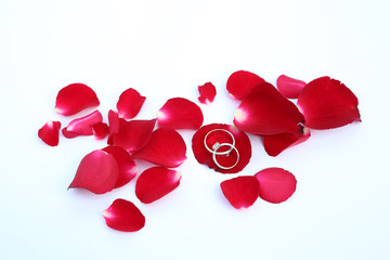 Abstract petals of red Rose with wedding rings on white background.