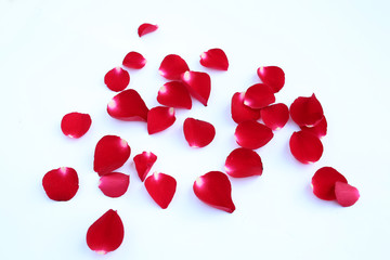 Abstract of red rose petals isolated on a white background.