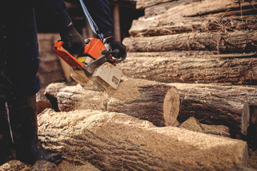 Cutting wood with chainsaw at backyard, lumberjack work profession.