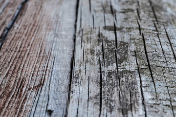 Obraz premium Textured old wooden board for a background retreating into the distance