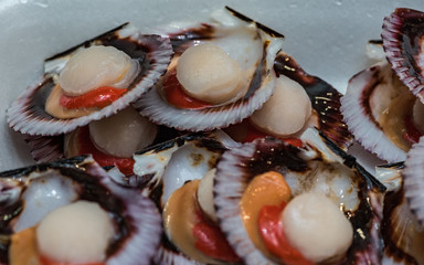 Zamburiñas frescas en mercado de Galicia