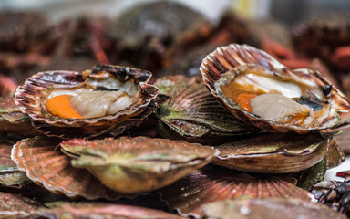 Vieiras frescas del dia en mercado gallego