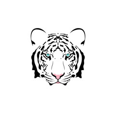 Vector illustration of a white tiger head with blue eye. 