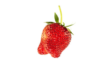 delicious strawberry