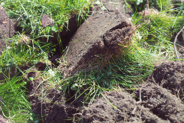 Turf ground