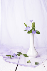 Bunch of beautiful spring flowers