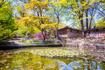 Obraz premium Buyeongji pond at the Huwon park, Secret Garden, Changdeokgung palace, Seoul