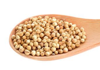 Coriander seeds in wood spoon  on white background