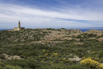 Fototapeta na wymiar Capo Sandalo Lighthouse, St Pietro