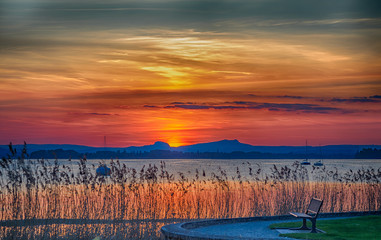 Tiefstehende Sonne am Untersee mit Schilf