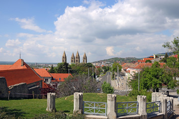 Cathedral and street cityscape Pecs Hungary