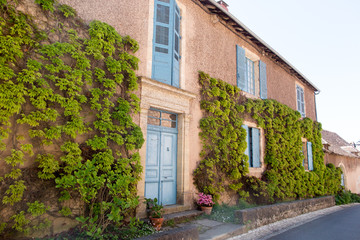 Fototapeta na wymiar Classic house in the south of France with ivy rising on the walls